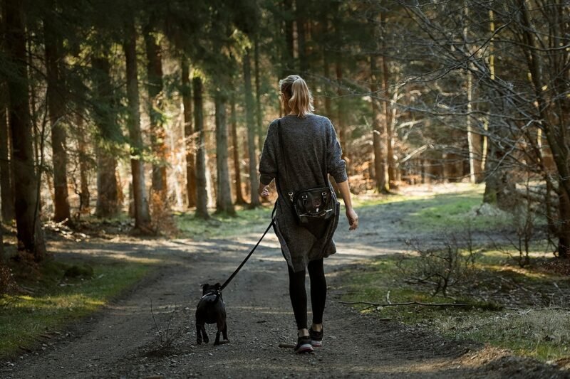Essential Dog Walking Advice Should Follow